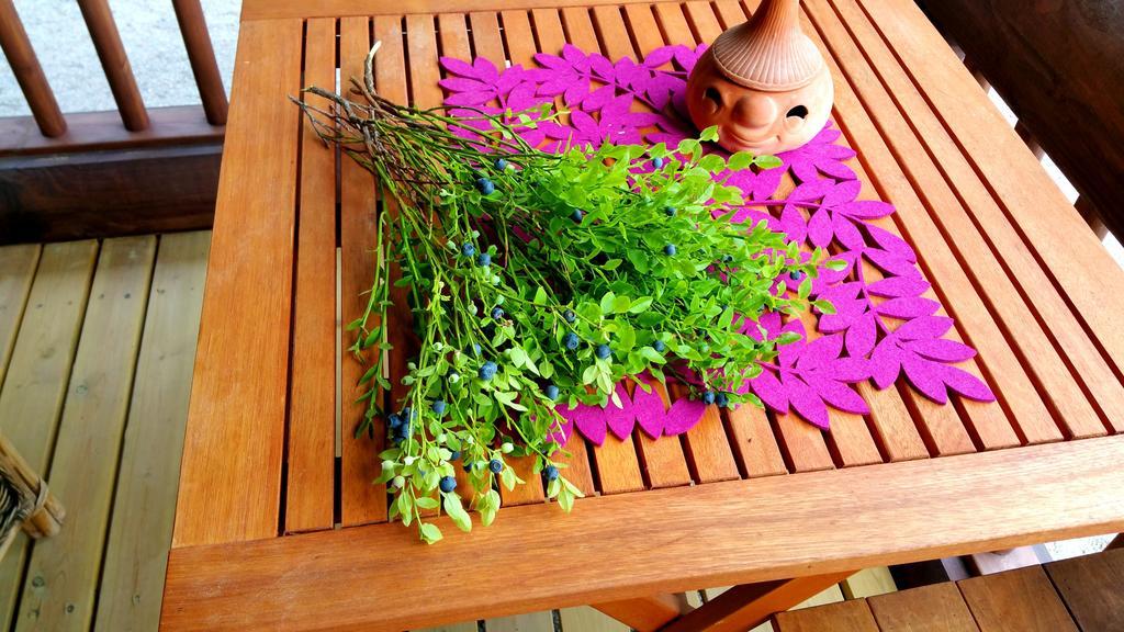 Kettu Holl Cottage Taipalsaari 部屋 写真