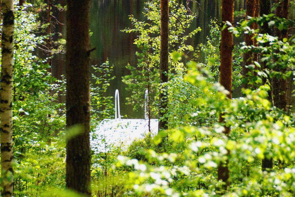 Kettu Holl Cottage Taipalsaari エクステリア 写真