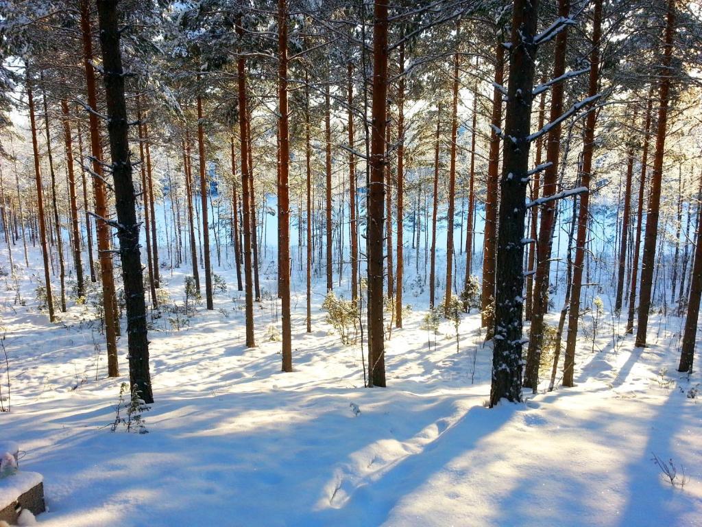 Kettu Holl Cottage Taipalsaari エクステリア 写真