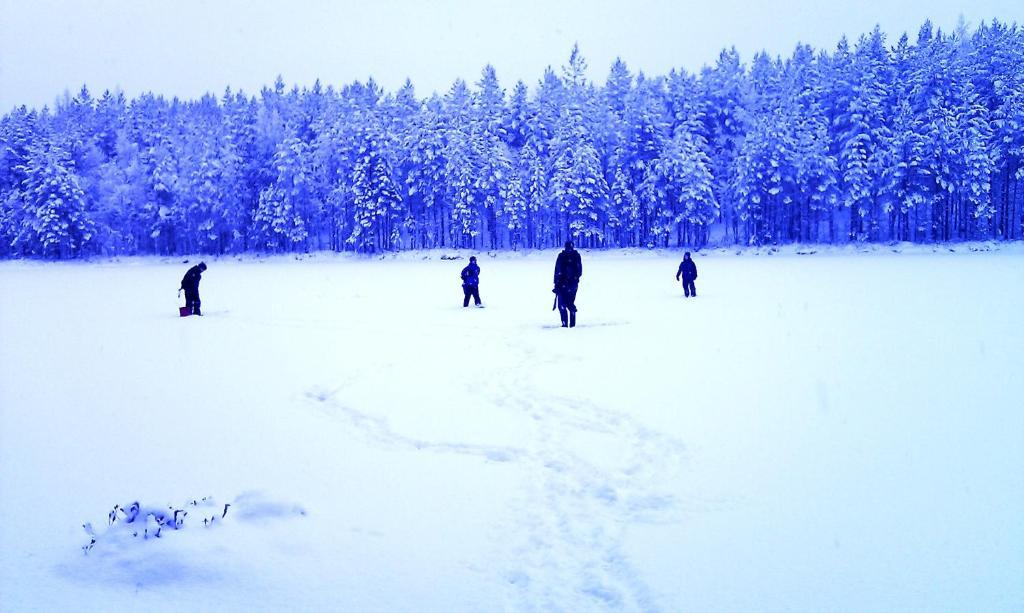 Kettu Holl Cottage Taipalsaari エクステリア 写真