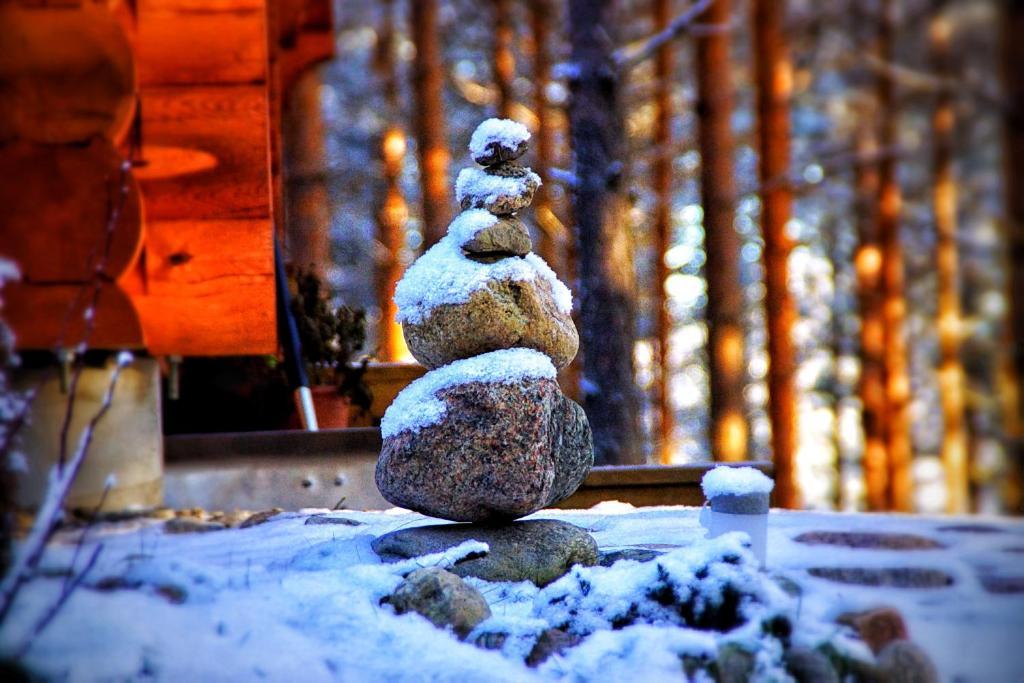 Kettu Holl Cottage Taipalsaari エクステリア 写真